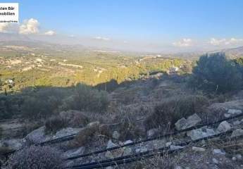 461259-Vorschaubild3