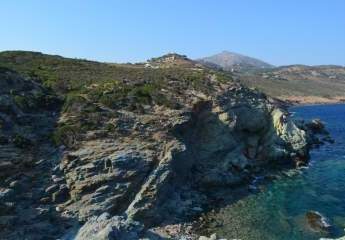 461272-Vorschaubild3