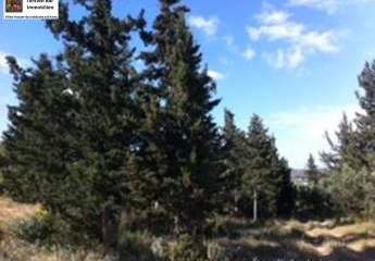 461273-Vorschaubild3