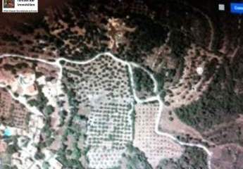 461273-Vorschaubild4