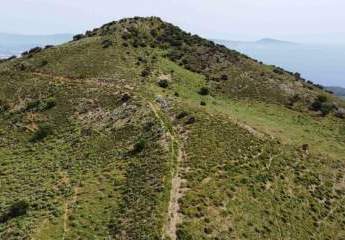 461278-Vorschaubild4