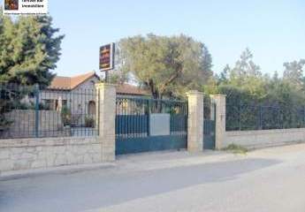 461282-Vorschaubild2