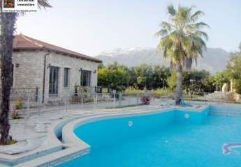 461282-Vorschaubild4