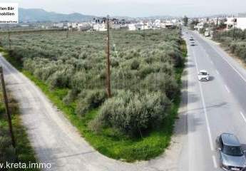 461320-Vorschaubild4