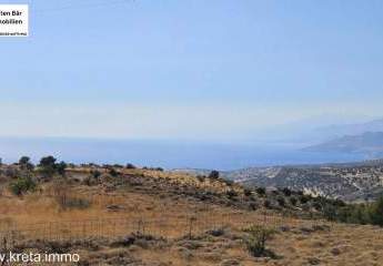 461330-Vorschaubild3