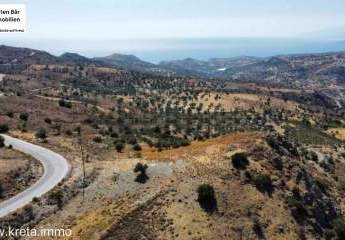 461330-Vorschaubild4