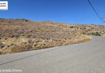 461345-Vorschaubild4