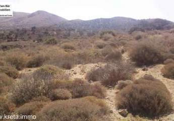 461372-Vorschaubild3