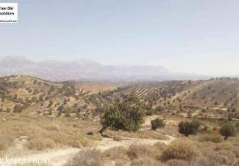 461372-Vorschaubild4