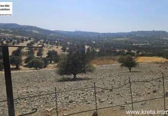 461380-Vorschaubild4