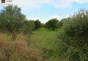 462688-Vorschaubild3