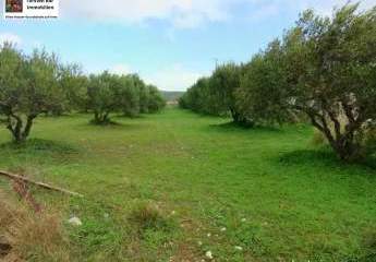 462688-Vorschaubild4