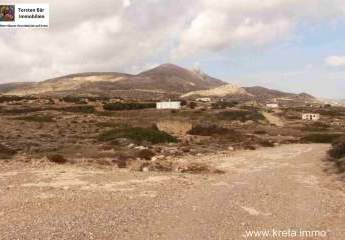 462694-Vorschaubild2