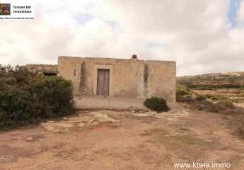 462694-Vorschaubild3