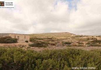 462694-Vorschaubild4