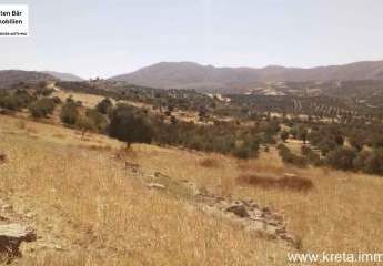 462825-Vorschaubild3