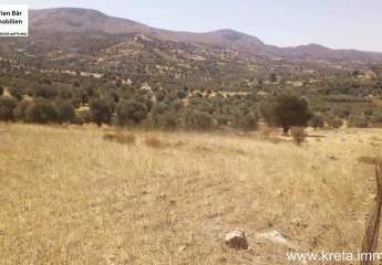 462825-Vorschaubild4