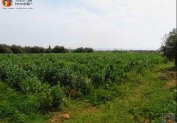 461120-Vorschaubild4