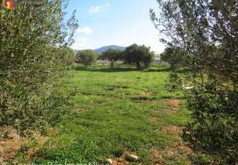 Kreta, Makri-Gialos, Grundstück innerhalb des Stadtgebiets zu verkaufen