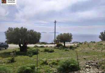 461037-Vorschaubild3