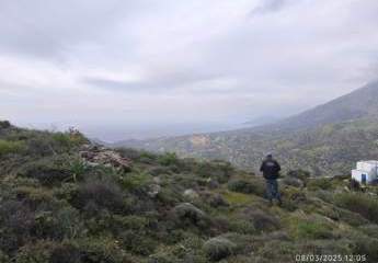 461038-Vorschaubild4