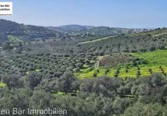 Kreta, Kouses: Baugrundstück 3.600 m² mit Baugenehmigung