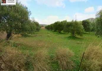 462688-Vorschaubild3