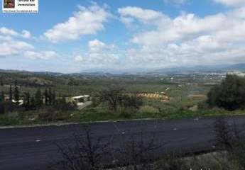 462828-Vorschaubild3