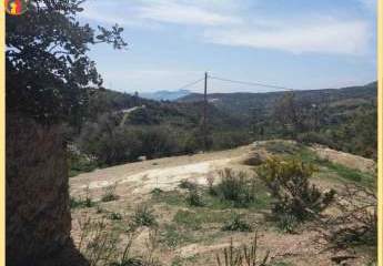 Kreta, Agia Galini Grundstück von 34.000m² mit altem Haus.