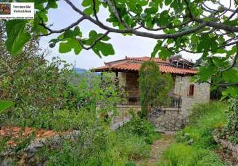 461046-Vorschaubild3