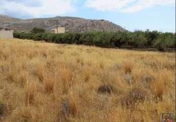 461049-Vorschaubild3