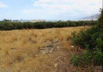 461049-Vorschaubild4