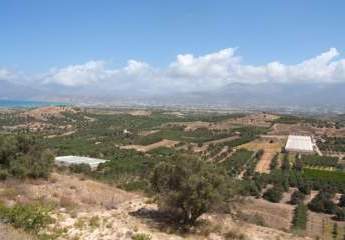 461066-Vorschaubild3