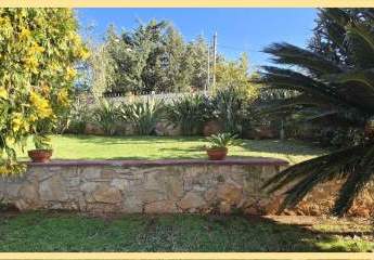 461069-Vorschaubild4