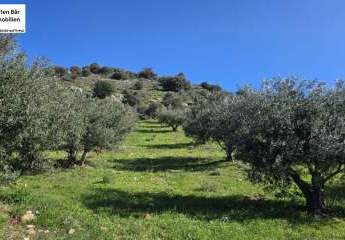 461071-Vorschaubild3