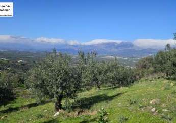 461071-Vorschaubild4