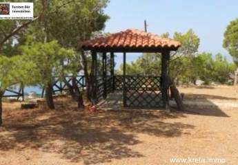 461092-Vorschaubild4