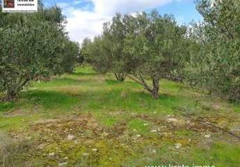 461094-Vorschaubild3