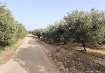 461095-Vorschaubild3