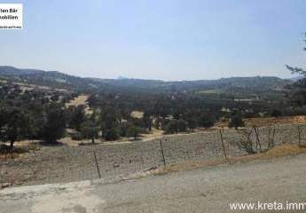 461380-Vorschaubild2