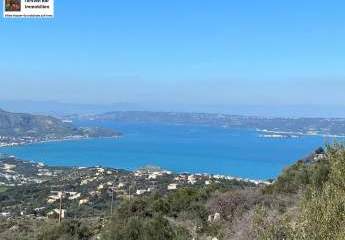 453754-Vorschaubild2