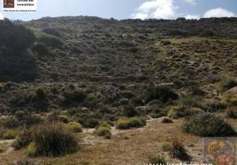 461134-Vorschaubild3