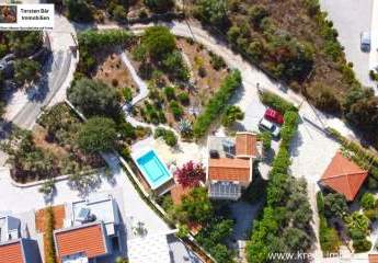 362262-Vorschaubild2