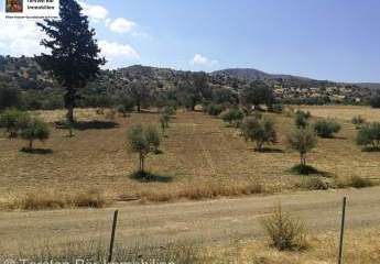 Kreta, Sivas: Baugrundstück 800 m² mit Baugenehmigung