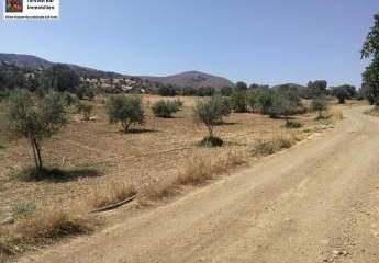 461144-Vorschaubild2