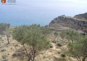 451244-Vorschaubild4