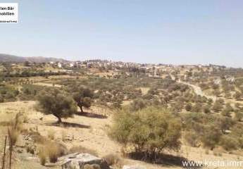 Kreta, Sivas, bebaubares Grundstück 18.000qm mit Berg und Fernblick