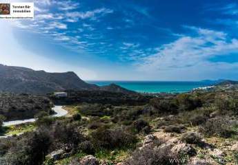 461192-Vorschaubild3