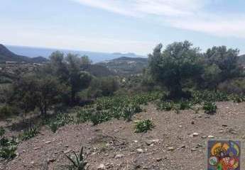 461227-Vorschaubild3