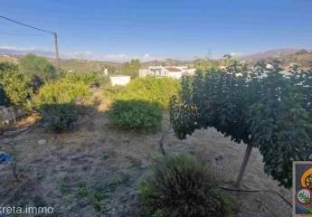 461244-Vorschaubild4